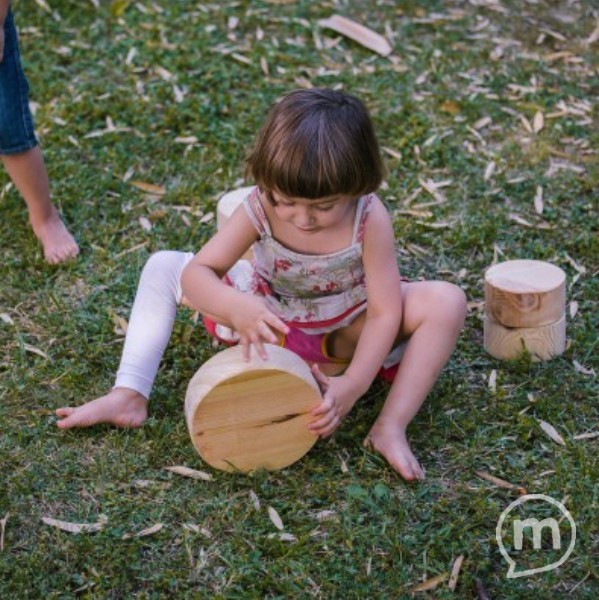 Discs de tauló polits