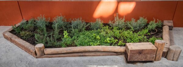 Plantes per fer un jardí al pati