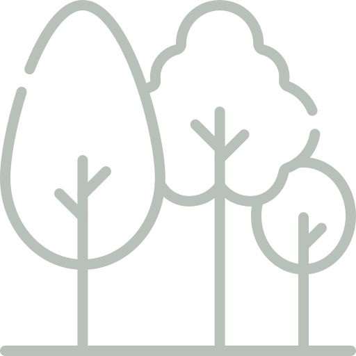 icona arbres plantats