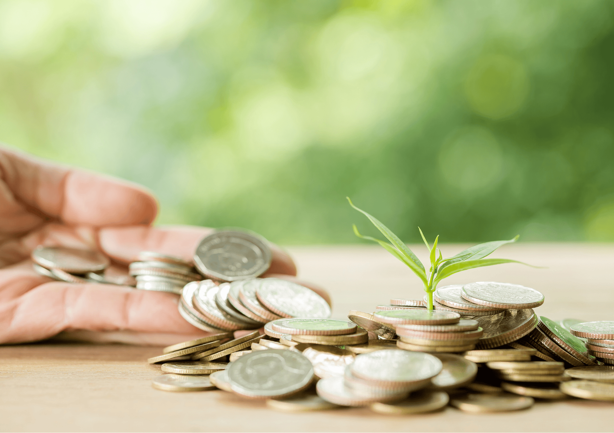 Opcions de finançament per transformar el pati escolar amb Milanta Patis Vius