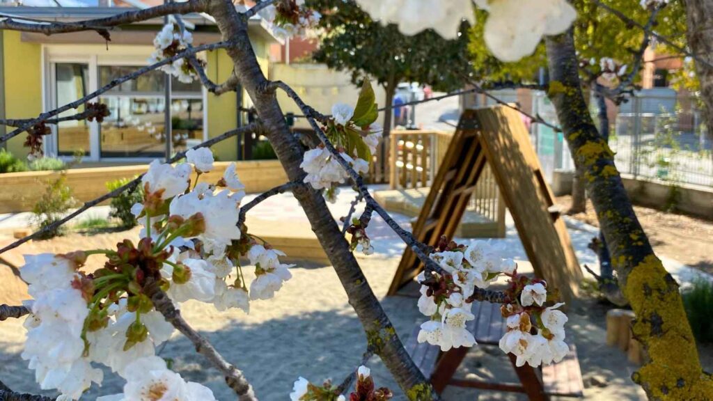 Patis am natura Milanta