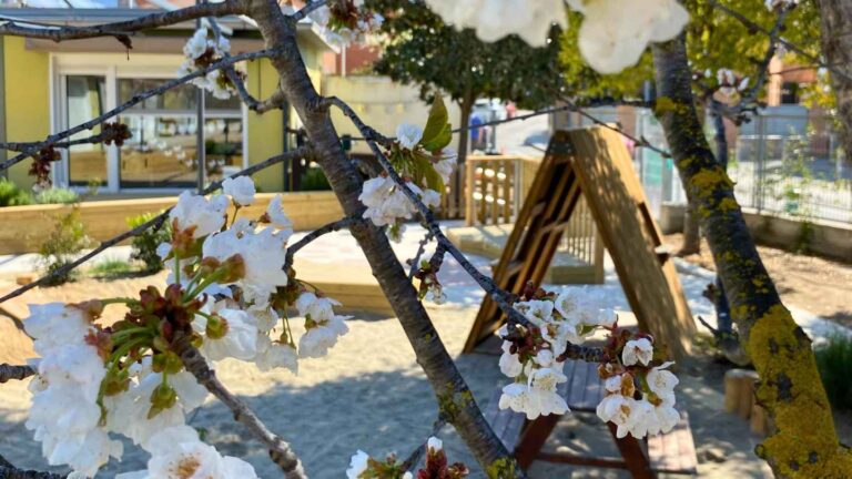 Patis am natura Milanta