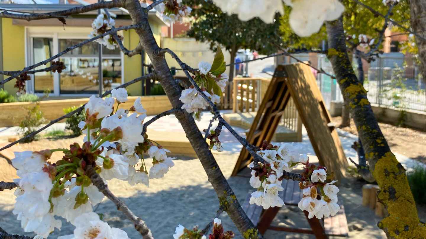 Patis am natura Milanta