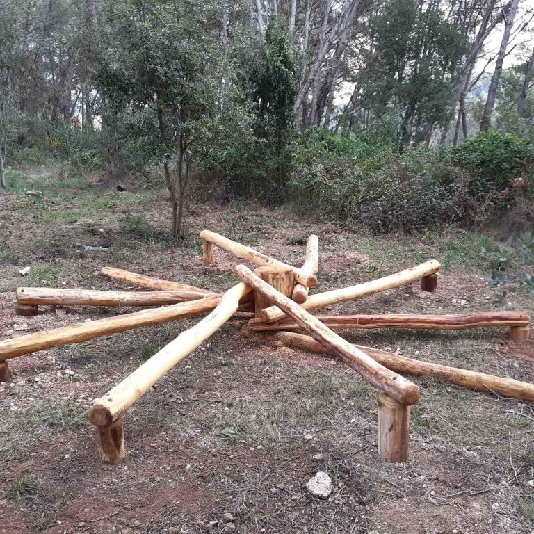 L'ESTRELLA DE TRONCS