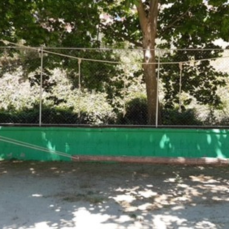 TRONC PENJAT HORITZONTAL ENTRE ARBRES